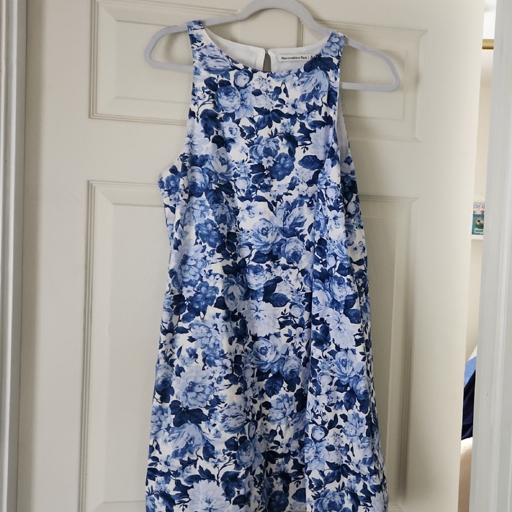 Abercrombie & Fitch Blue and White Floral Dress